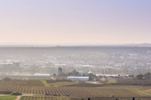 Gewerbegebiet, Industriegebiet: Gewerbegebiet „P 7.1“ (Commercial industrial area)